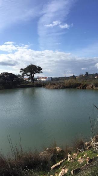 Herdade Da Maridona - Agroturismo Estremoz Exterior photo