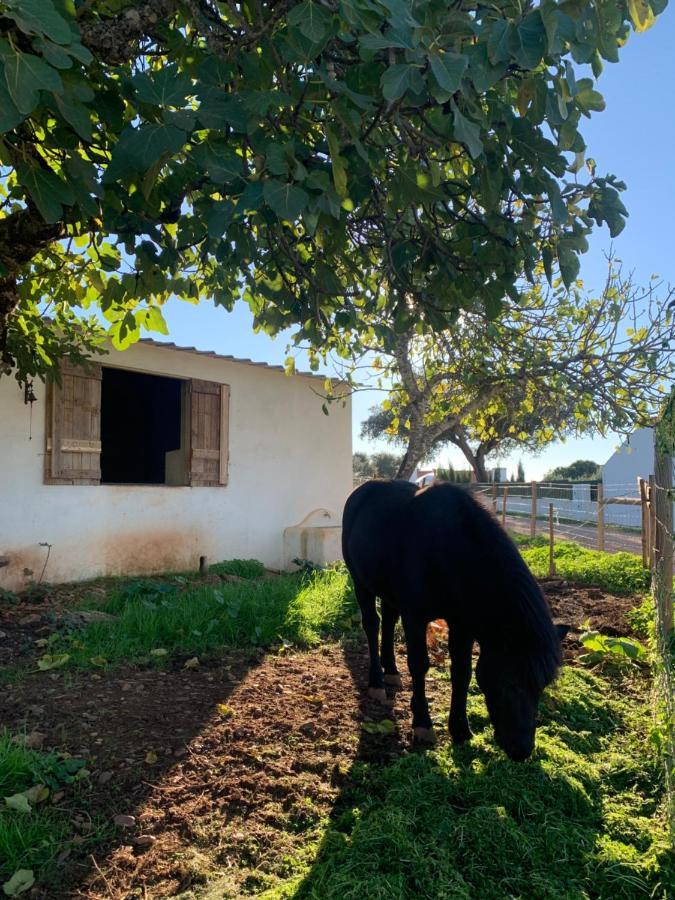 Herdade Da Maridona - Agroturismo Estremoz Exterior photo